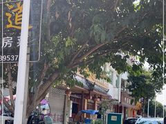 -妈妈味道生态私房菜(下潘家坝街店)