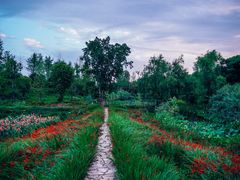 -白鹭湾湿地公园