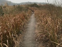 -飞天山旅游区