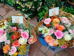 -FEI FEI FLOWER鲜花店·气球派对·宝宝宴布置(虹口德必运动Loft店)