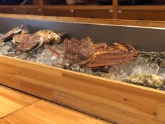 -希望日本料理(保利香槟花园店)