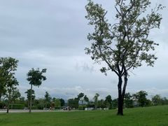 -深圳人才公园
