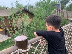 -太原动物园