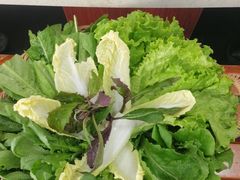 蔬菜大拼-阳坊大都涮羊肉(阳坊总店)