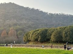 -八卦田遗址公园
