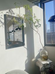 -飛凡TATTOO纹身•原创