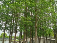 -上海月湖雕塑公园