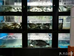 -全乐鱼馆·淳牌有机鱼直营店