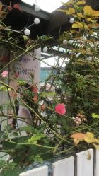 -黎蓓露·徒手骨雕蛋白抗衰·调肤管理