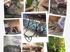 -上海大自然野生昆虫馆(东方明珠·爬宠昆虫探索中心)