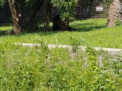 -沈阳森林动物园