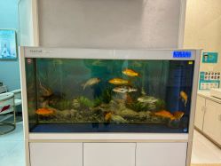 -美呈轻医美·无创抗衰中心