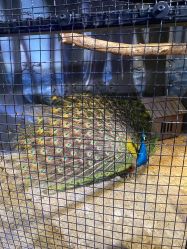 -酷嗒动物文化乐园(cutezoo西溪乐天城店)