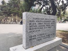 -牡丹园