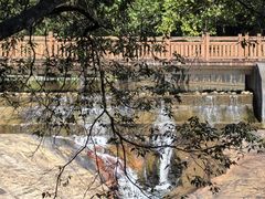 -广州白江湖森林公园