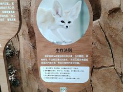 -武汉动物园