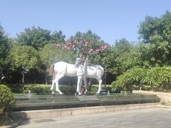 -鹭江潮餐厅•福建菜(鹭江佲家酒店)