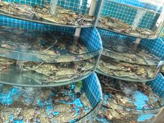 -蓝珊甄选海鲜自助·火锅大排档(近阿那亚店)