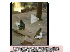 -昆明动物园