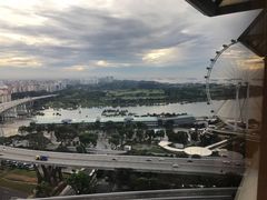 -新加坡丽思卡尔顿美年酒店