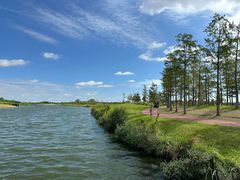 -春花秋色城市公园