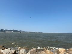 -野狸岛