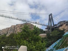 -西霞口神雕山野生动物世界