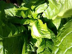 -桥香园云南过桥米线(金马碧鸡店)