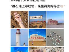 -日照海滨国家森林公园