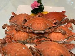 -海天一色海景自助餐厅(西港花园店)