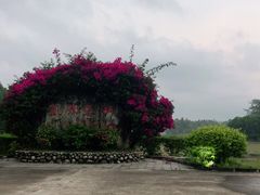 -凯邦亚湖风景区