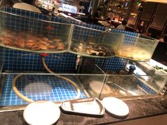 海鲜区-钱小奴海鲜自助黑金店(杭州滨江龙湖店)