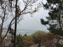 -石老人观光园