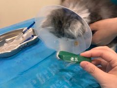 -美迦爱-牙专科·兔科·骨科诊疗中心(北苑店)