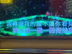 -V-SHOW主题KTV(新城店)