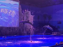 -华夏文旅海洋公园