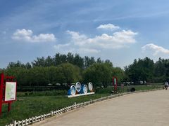 -塘沽森林公园
