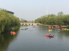 -溱湖国家湿地公园