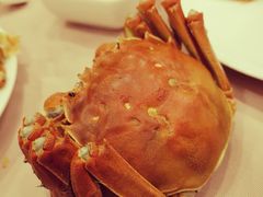 -王宝和酒家(黄浦店)