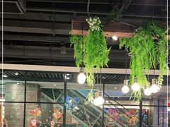 -肥佬大椰子鸡(三里屯3·3大厦店)