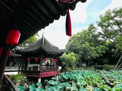 -上海醉白池公园