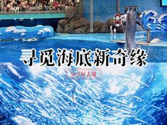 -海合安成都极地海洋公园