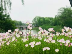 -尚贤河湿地
