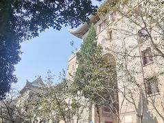 -武汉大学-樱园