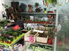 -无锡文化工艺品市场(槐古路店)