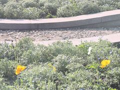 -浙江大学(紫金港校区)