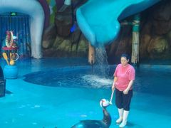 -烟台海昌鲸鲨海洋公园