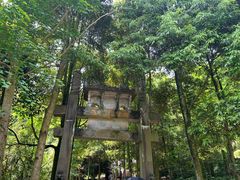 -凤栖山