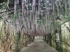 -苏州太湖国家湿地公园