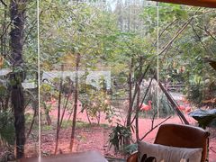 -ZOO COFFEE动物园咖啡(红山森林动物园店)